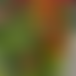 5/8〜10までお休みいただいております