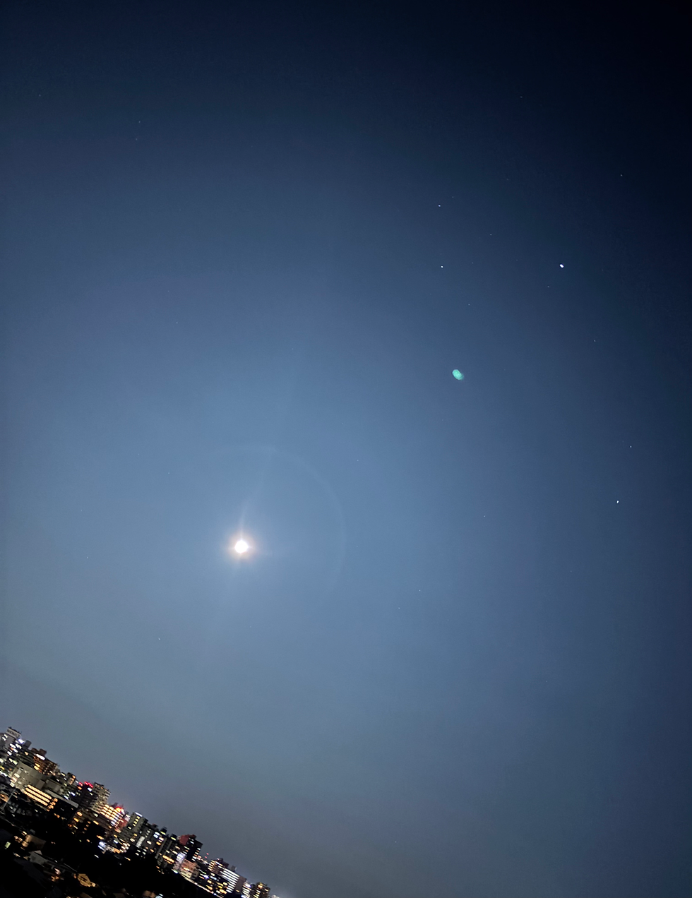 2026年2月の満月