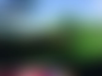 あまりにも天気がいいので