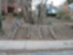 Steps In Charlottesville