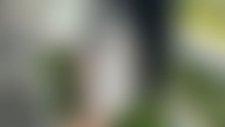 Nothing Phone 3