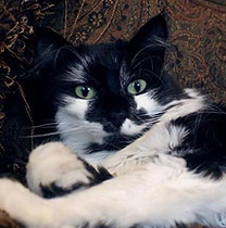 Missy_01.jpg