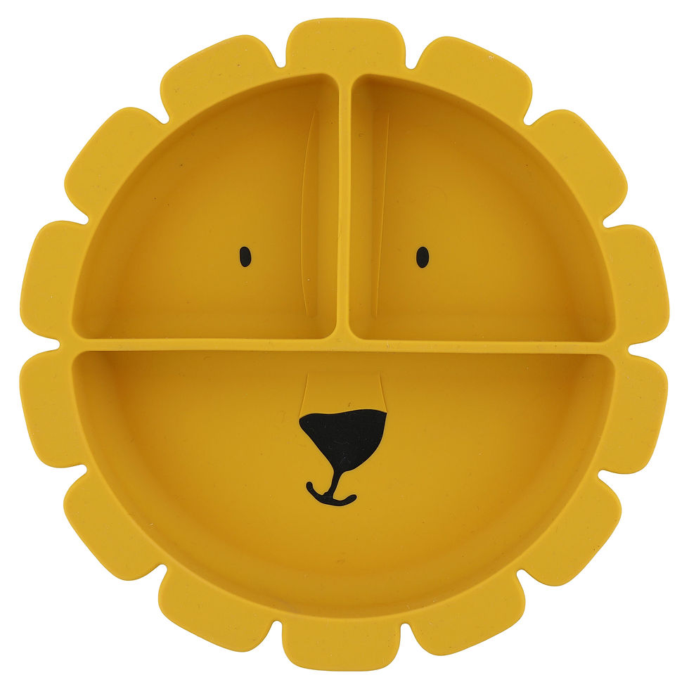 Assiette-ventouse-silicone-compartiments-Mr-Lion-Trixie