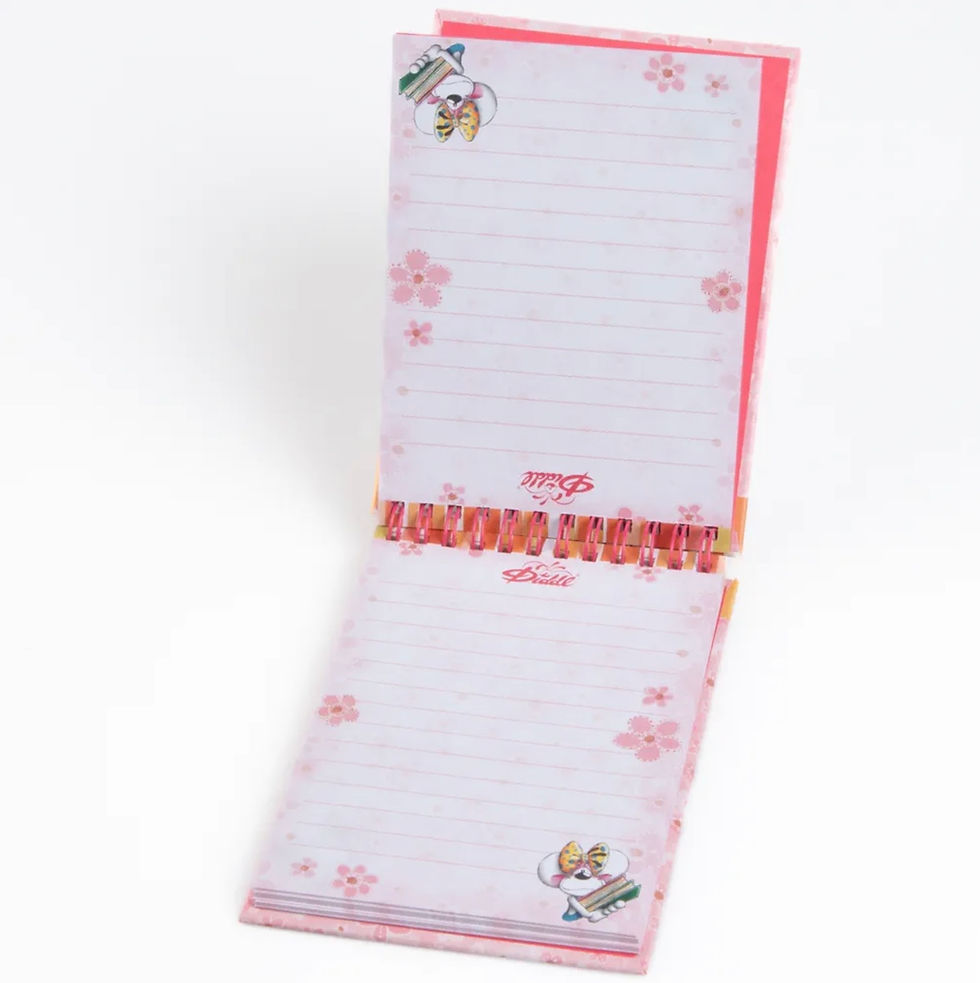 Miniature : Carnet-A6-spirale-Rose-Diddlina