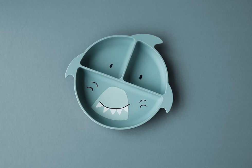 Miniature : Assiette-ventouse-silicone-compartiments-Mr-Shark-Trixie
