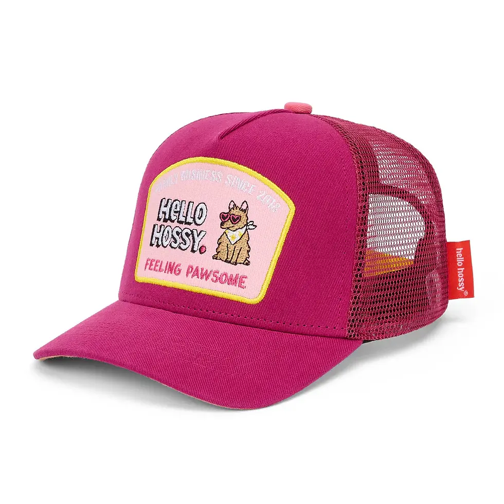 Casquette-Pawsome-Hello-Hossy