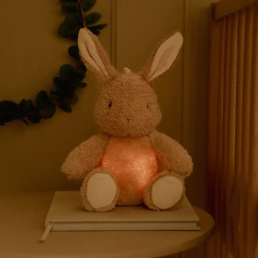 Miniature : Lapin calin lumière et son  Newborn - Little Dutch