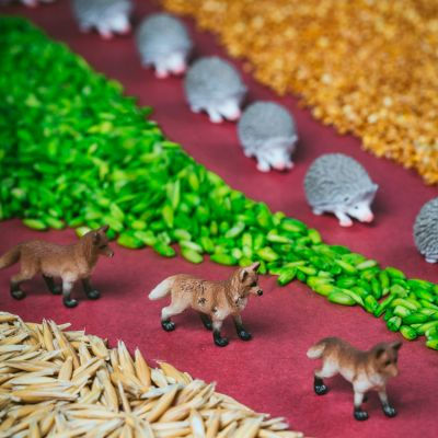 Miniature : Bouteille sensorielle Spy forêt - Petit boum
