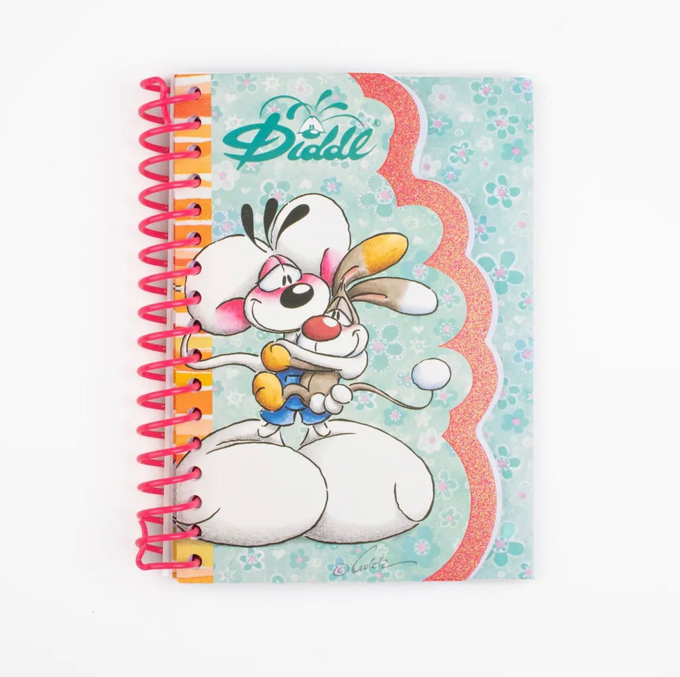 Carnet-forme-Bleu-A6-Diddl