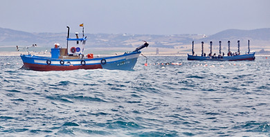Conil tunny fishermen