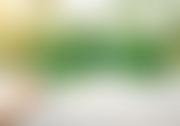 How to spot greenwashing in products and financial services