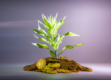 New study highlights ‘wishful thinking’ in impact investing