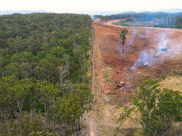 ANZ shareholders vote to demand disclosure of lending linked to deforestation and block executive pay plan at the bank’s AGM