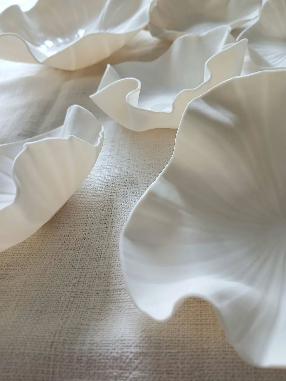 Miniature : NYMPHÉALE