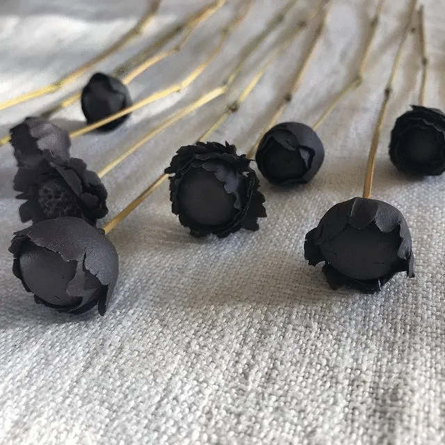 FLEURS NOIRES
