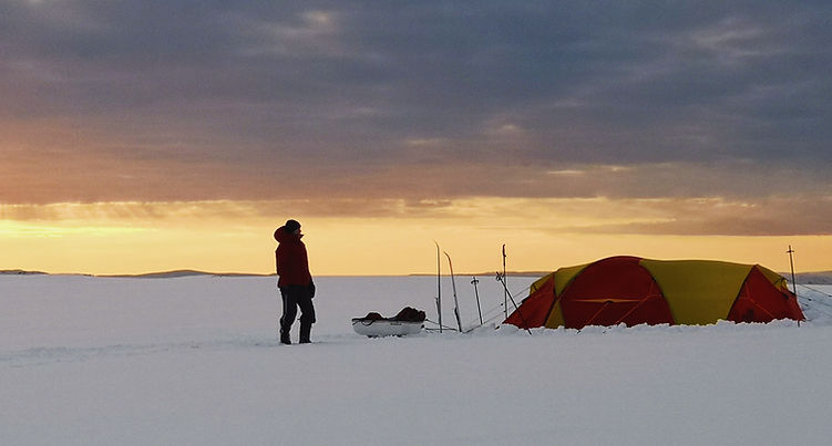 2020-05-02 08.14_edited.jpg