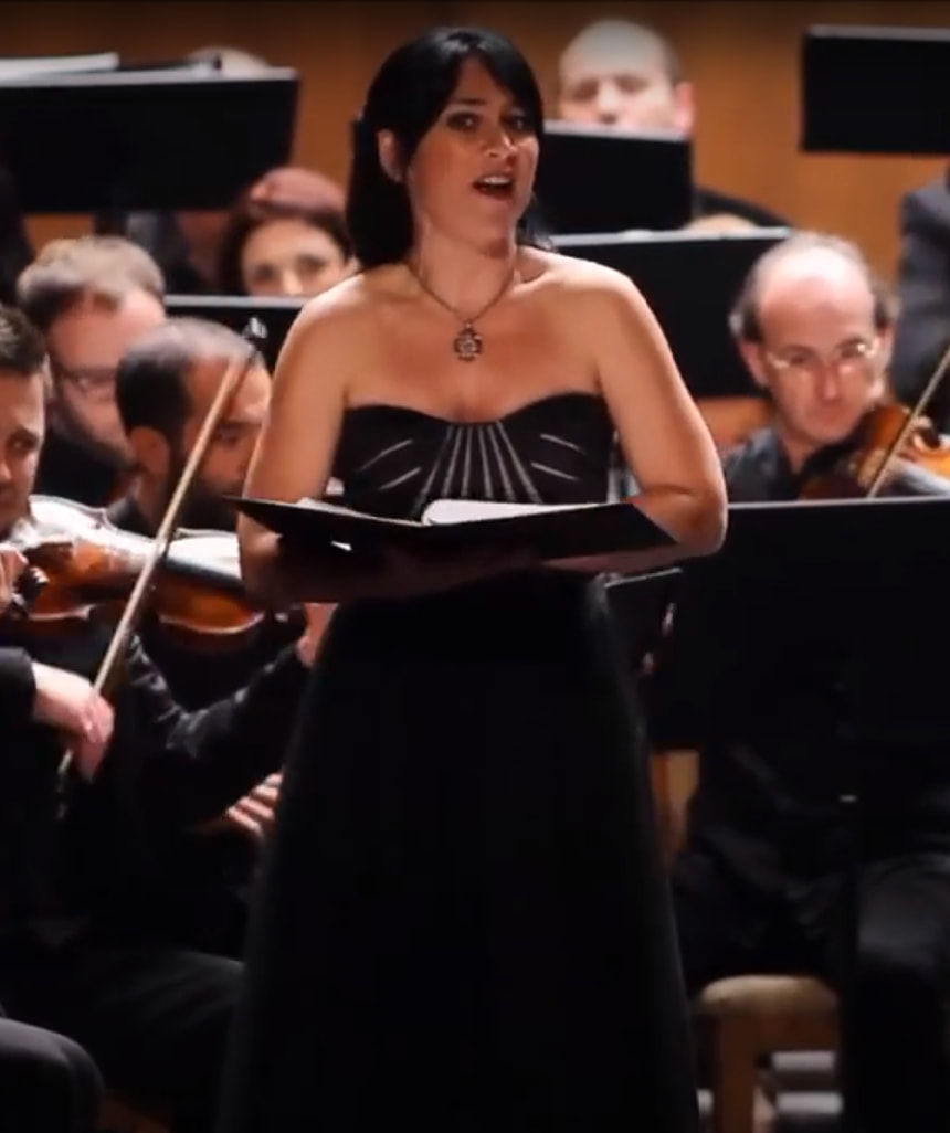 Ostro picta, Teatro Falla