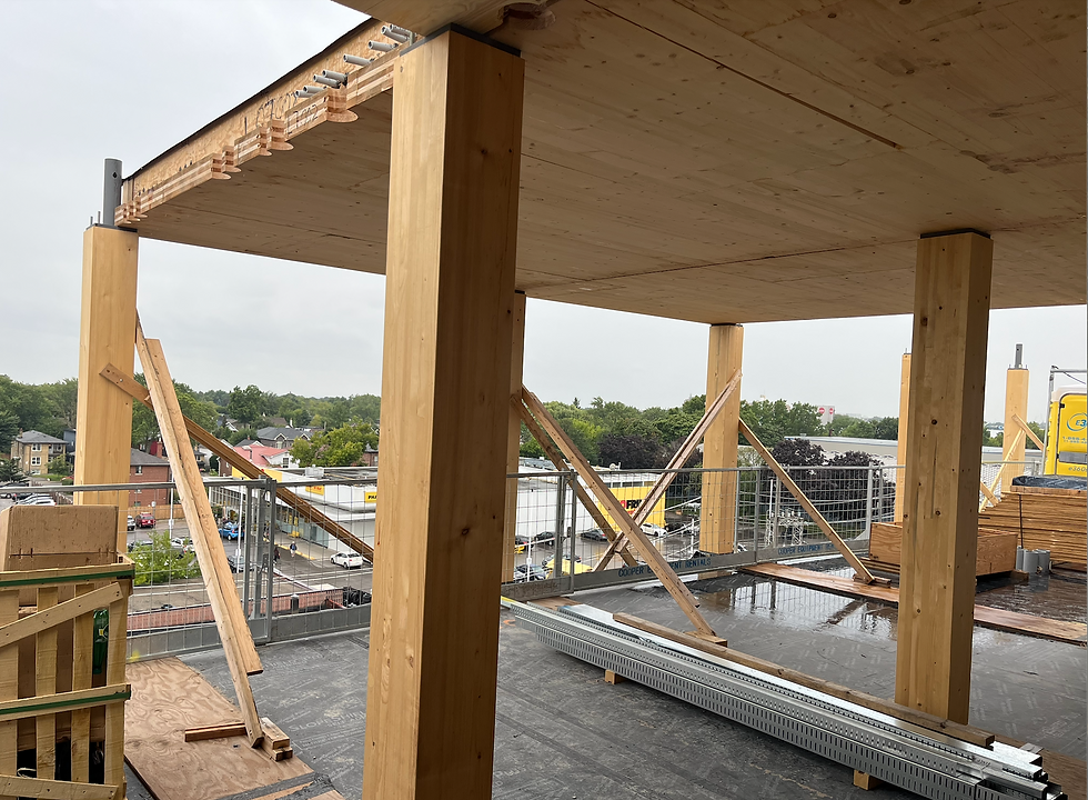 Picture of exposed mass timber beams on the third floor of 230 Royal York