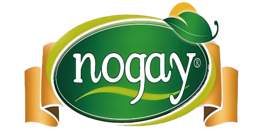 NOGAY ZEYTİN LOGO