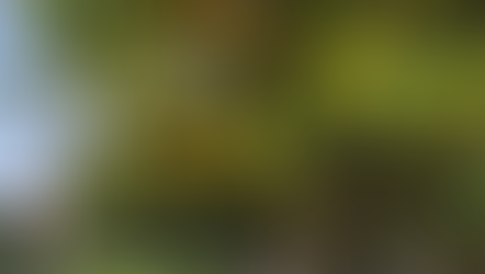 Kuchyně Portugalska v hledáčku Matěje Velebila.