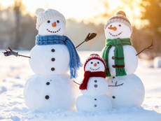 February 2026 - Community Update