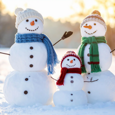 February 2026 - Community Update