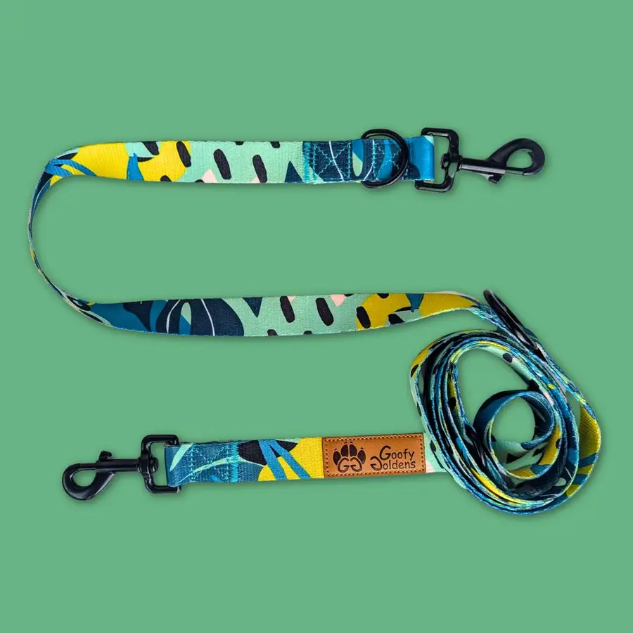 Laisse multiposition motif Récif