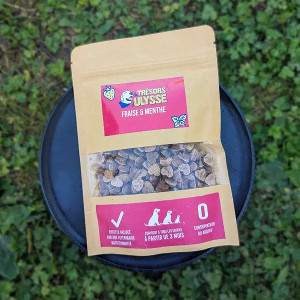 Fraise Menthe - Trésors d'Ulysse