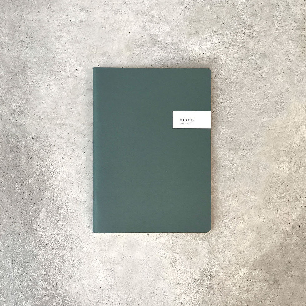 Miniatura: libreta lisa grande