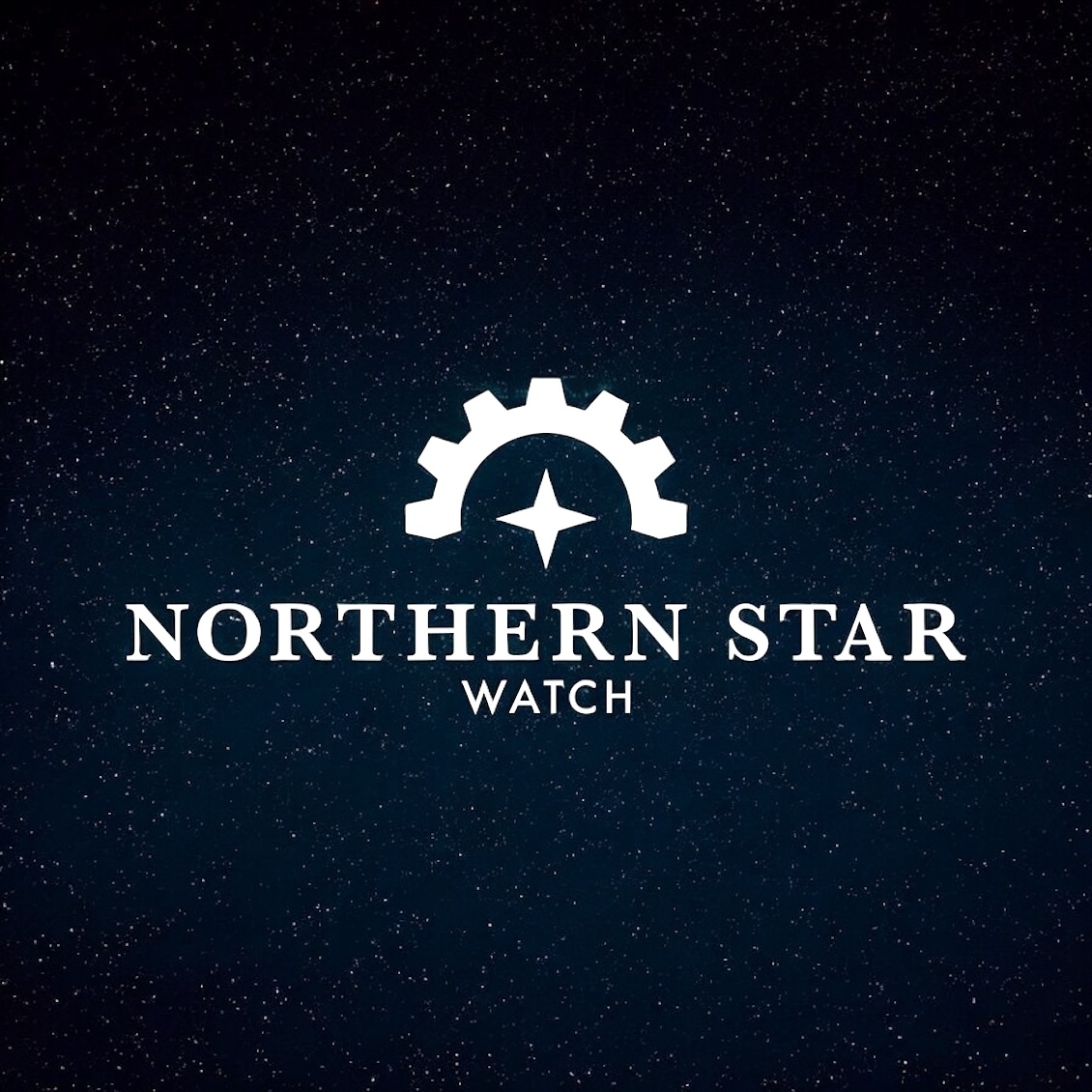 The official minimalist logo of Northern Star Watch.