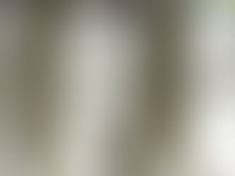 Fenster stilsicher dekorieren 