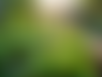 Essential Gardening Kits for Eco-Friendly Urban Living