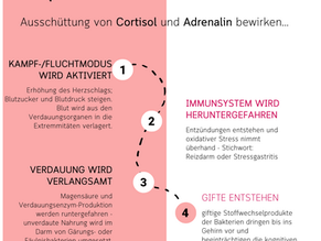 Was passiert bei Stress im Darm?