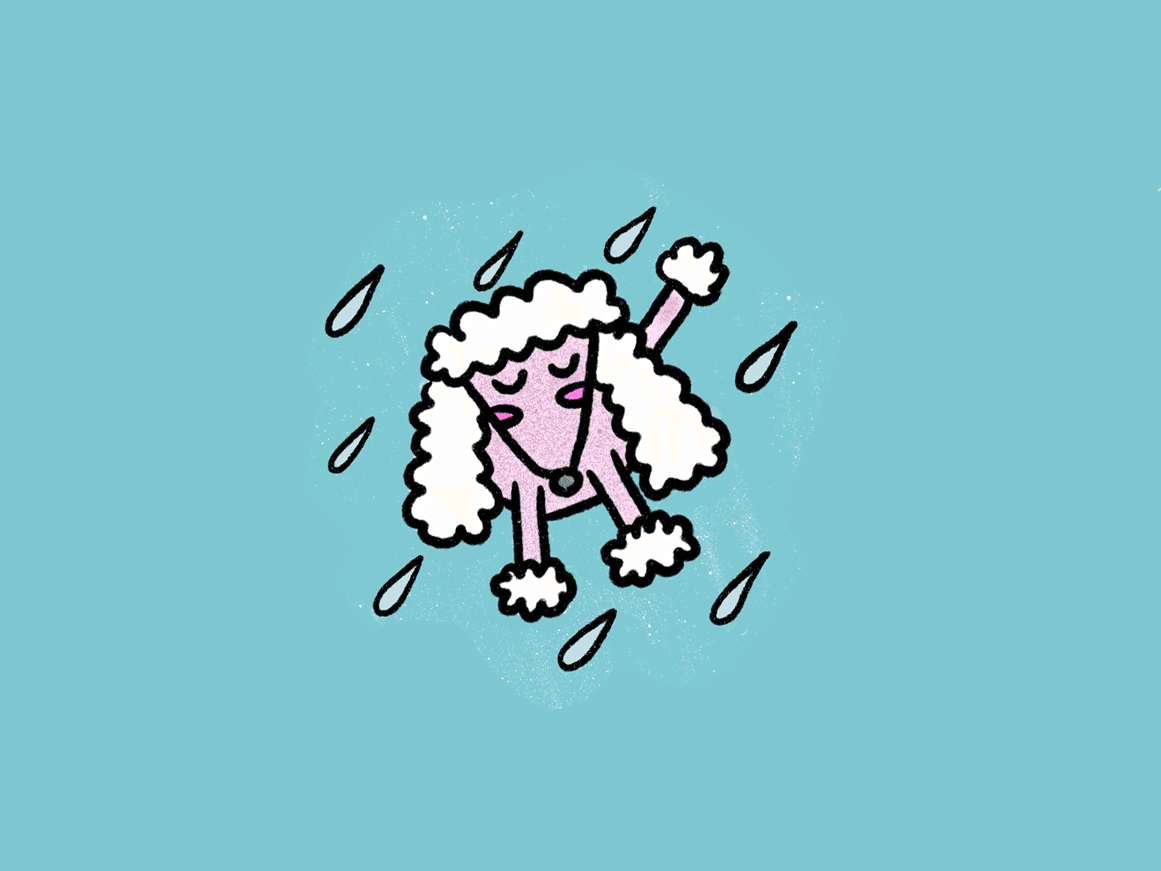 itsrainingcatsanddogs.gif