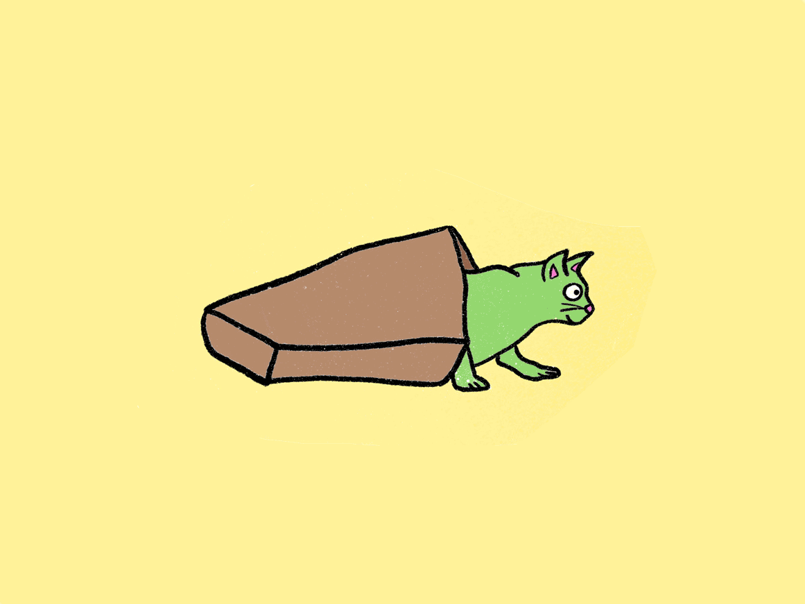catout.gif