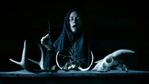 Mother of Flies (2025) by John Adams, Zelda Adams, Toby Poser: A Haunting Tale of Desperate Cures and Dark Rituals