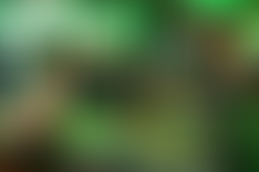 One Night Only (2026) by Will Gluck