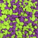 greenpurple