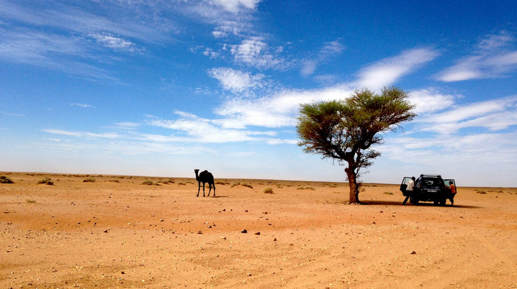 Maroc Desert 4x4 + Chameau.jpg