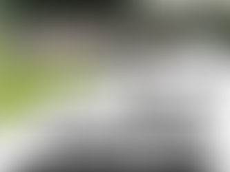 Fohlen-Akademie 2026 🐴🦉⚽️