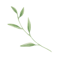 Logo -WwC (2).png