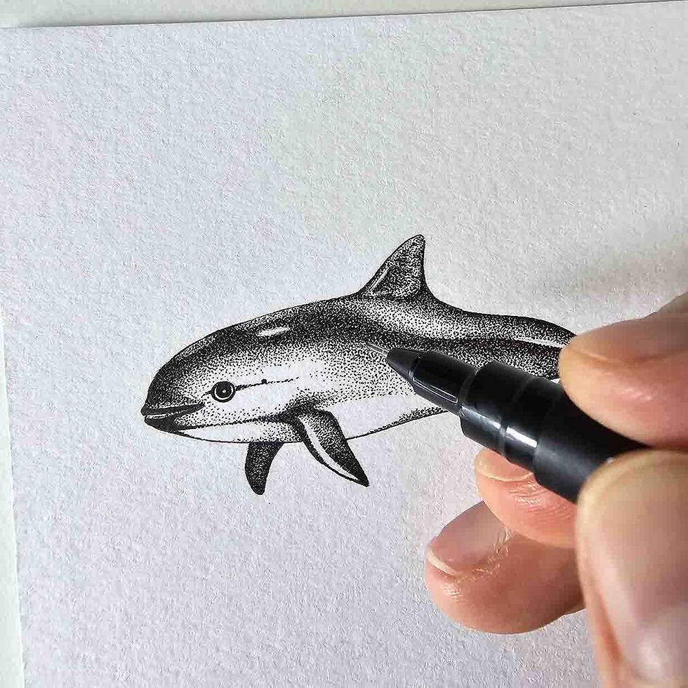 Masterclass inkttekenen 'Pointillisme' (aanbetaling deelname)