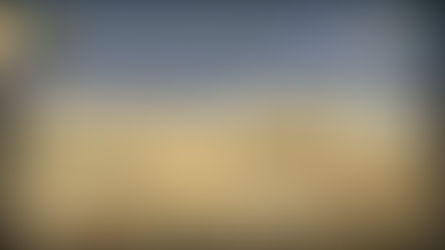 Origin of the City-State