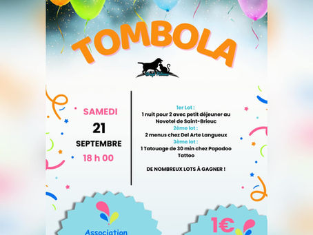 Tombola BREIZH PATOUNES 2024