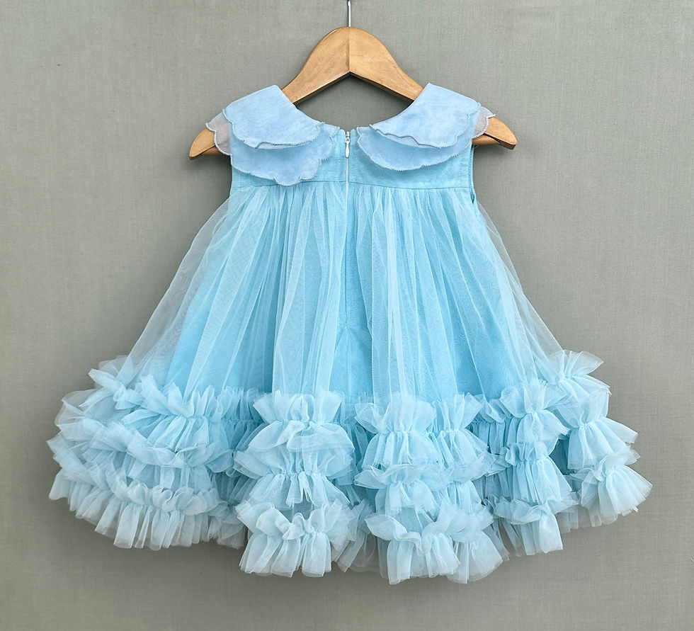 الصورة المصغرة: Organza Embroidered Cape Collar Dress in Sky Blue
