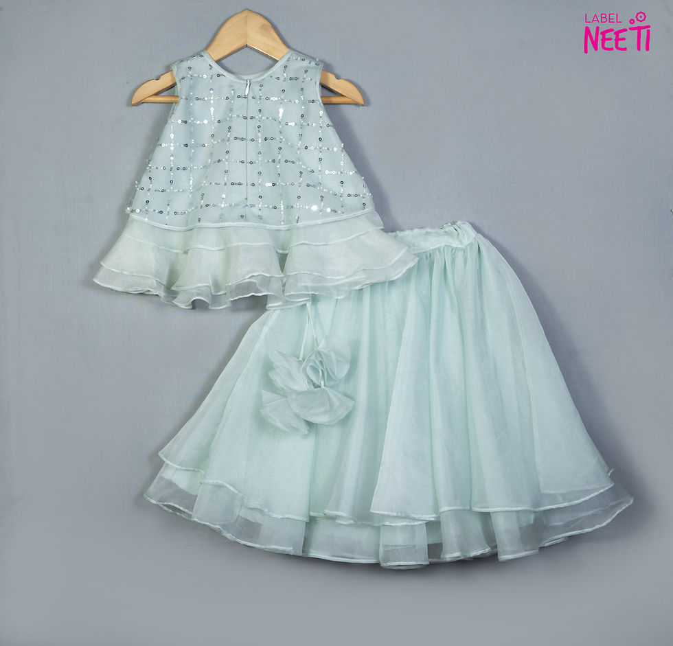 Thumbnail: Powder Blue Organza Frill Lehenga Set