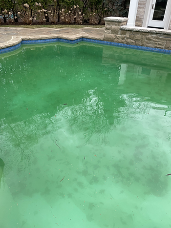 dirty pool in mississauga