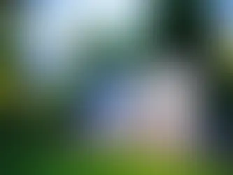 The Cost of a Home Generator in Parry Sound: What to Expect