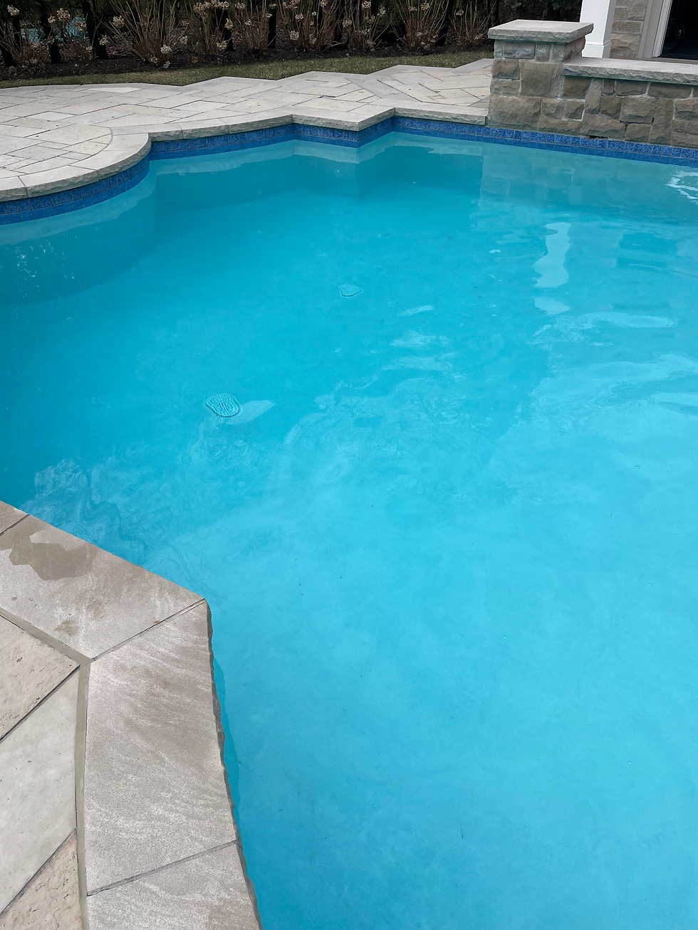 professionally cleaned pool

