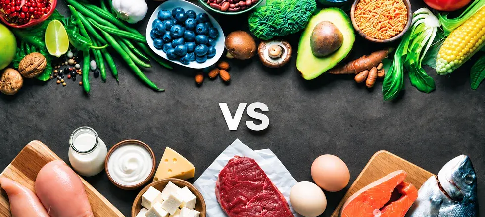 Plant Protein vs Animal Protein: Which Is Better for Your Health?